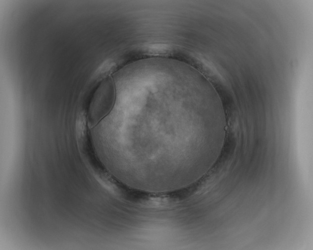 X0000110710744200906191547