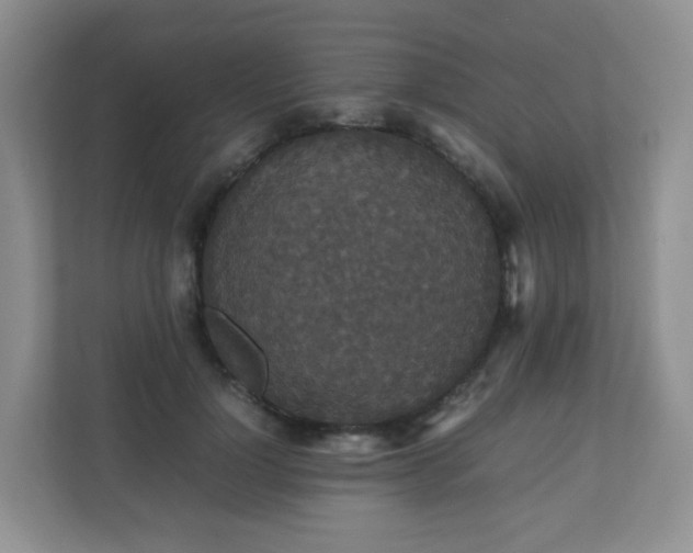 X0000110710748200906191547