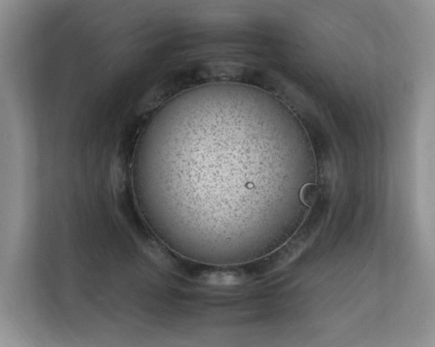 X0000110710751200906191547
