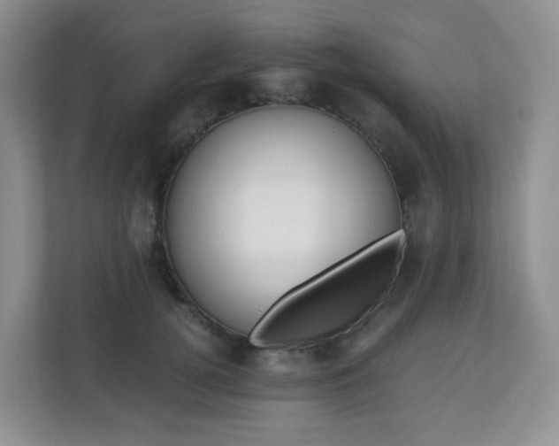 X0000110710752200906191547