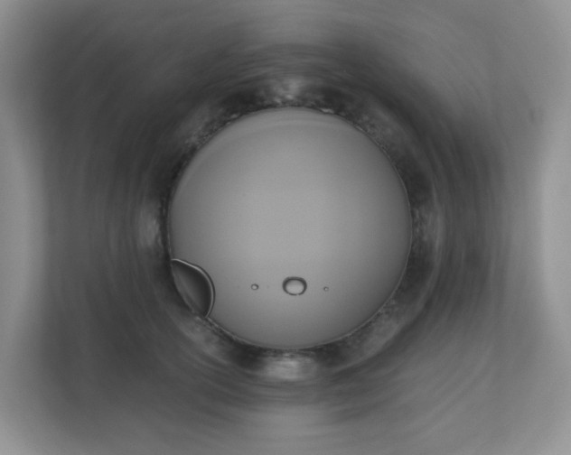 X0000110710754200906191547