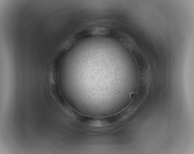 X0000110710755200906191547