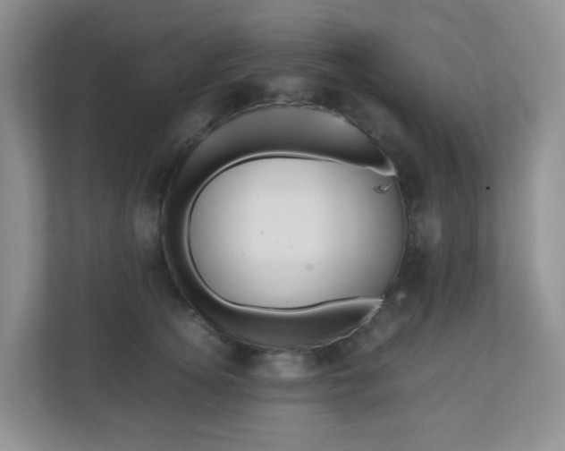 X0000110710756200906191547