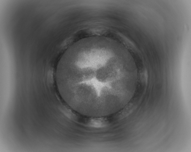 X0000110710757200906191547