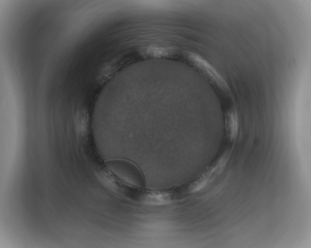 X0000110710760200906191547