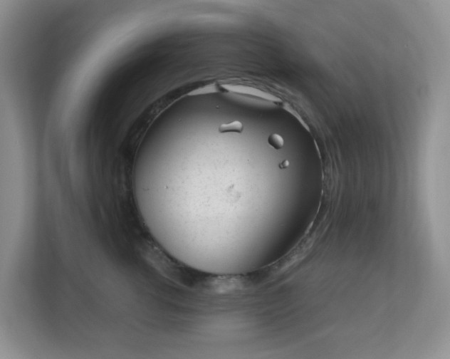 X0000110710762200906191547