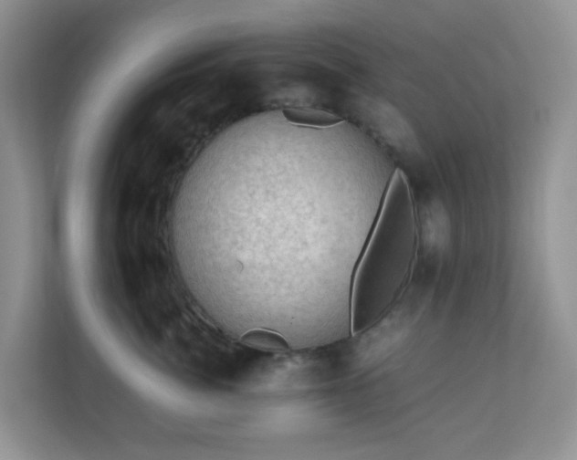 X0000110710764200906191547