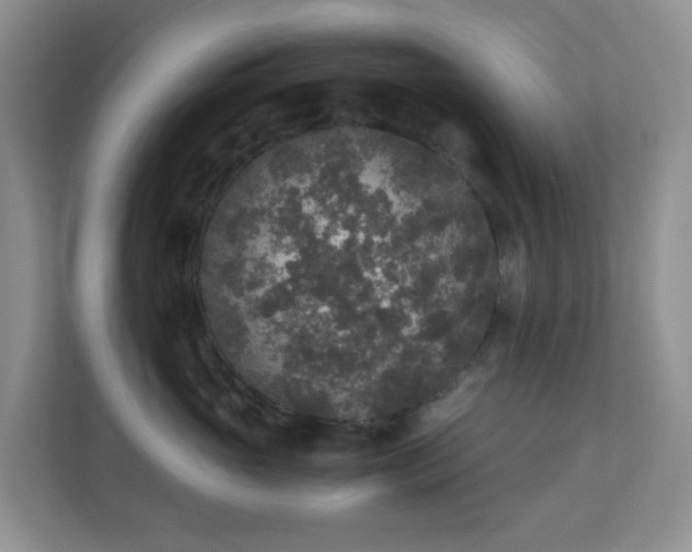 X0000110710765200906191547
