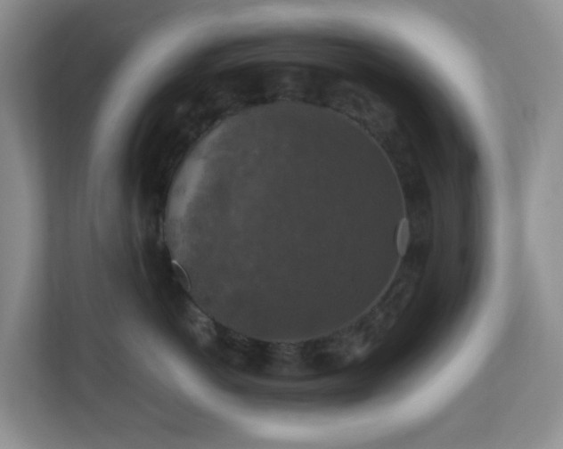 X0000110710766200906191547