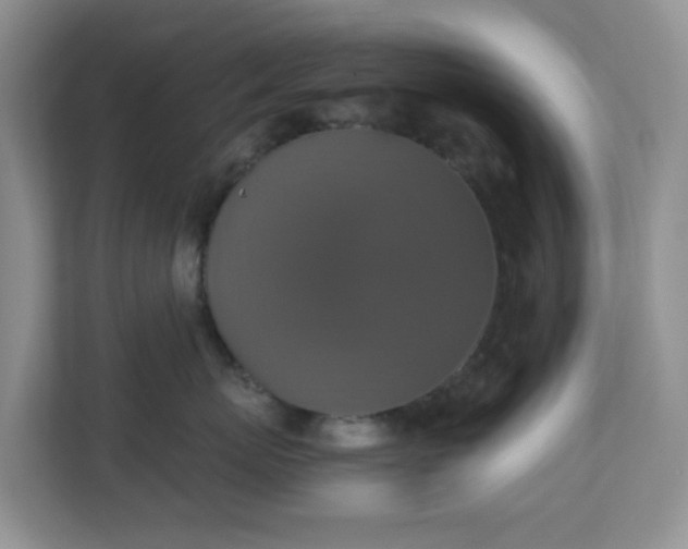 X0000110710767200906191547