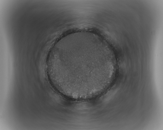 X0000110710769200906191547