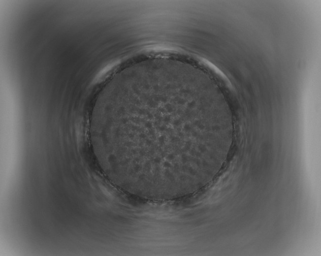 X0000110710775200906191547