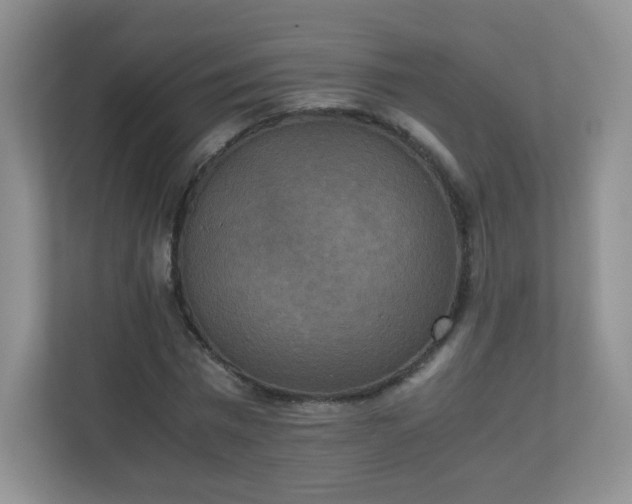 X0000110710777200906191547