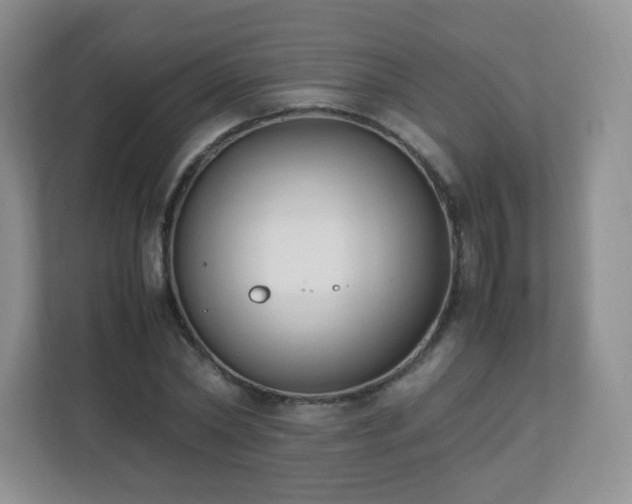 X0000110710782200906191547