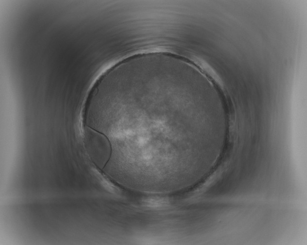 X0000110710789200906191546