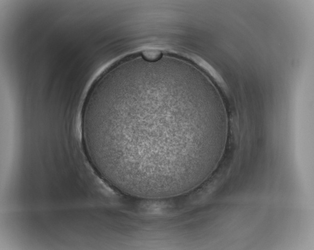 X0000110710791200906191546