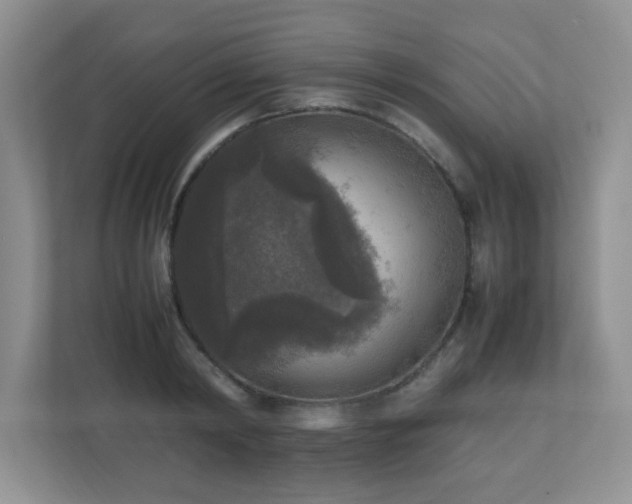 X0000110710798200906191546