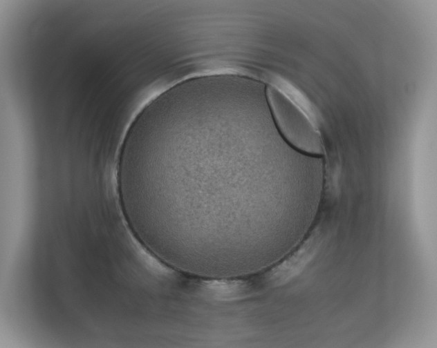 X0000110710805200906191546