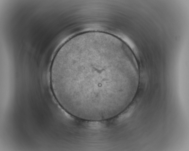 X0000110710807200906191546