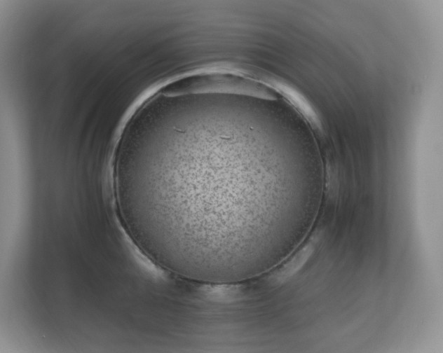 X0000110710808200906191546