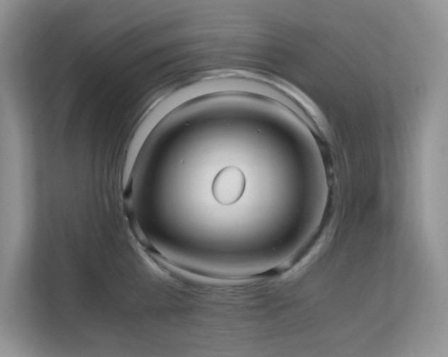 X0000110710809200906191546