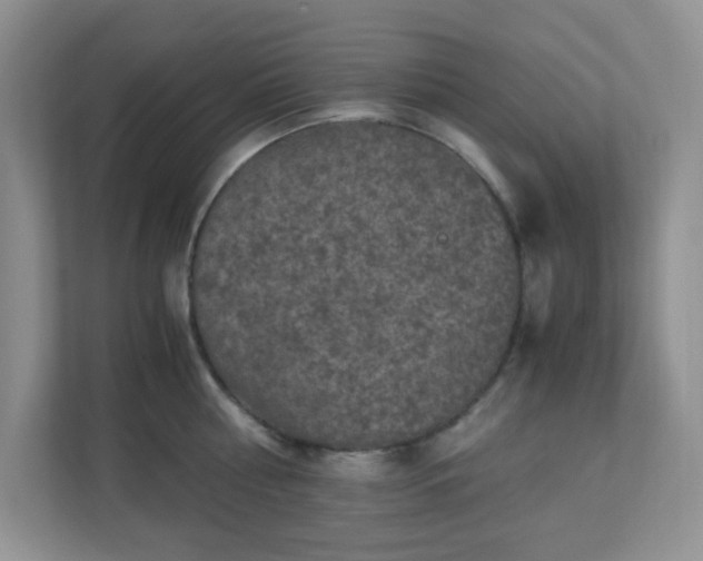 X0000110710810200906191546