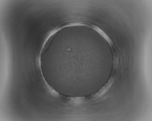 X0000110710813200906191546