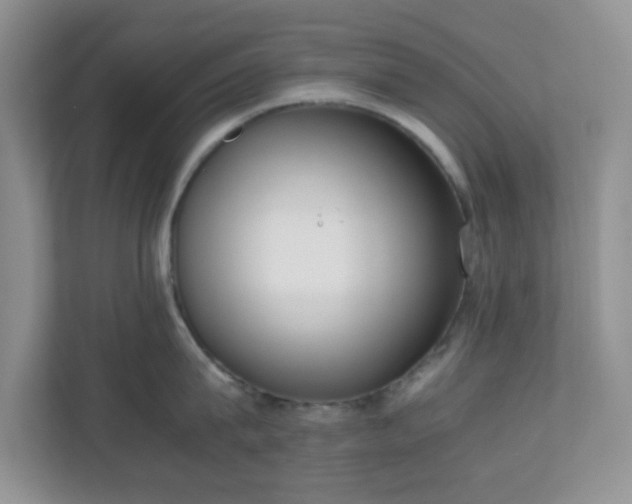 X0000110710815200906191546