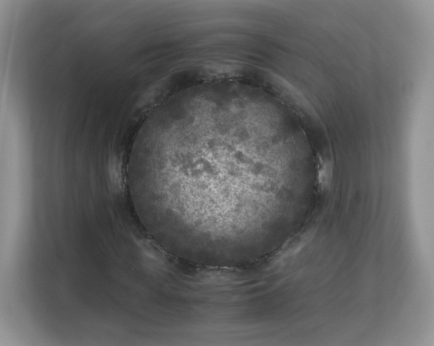 X0000110710819200906191545