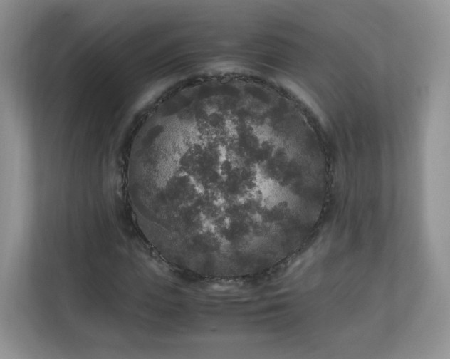 X0000110710823200906191546