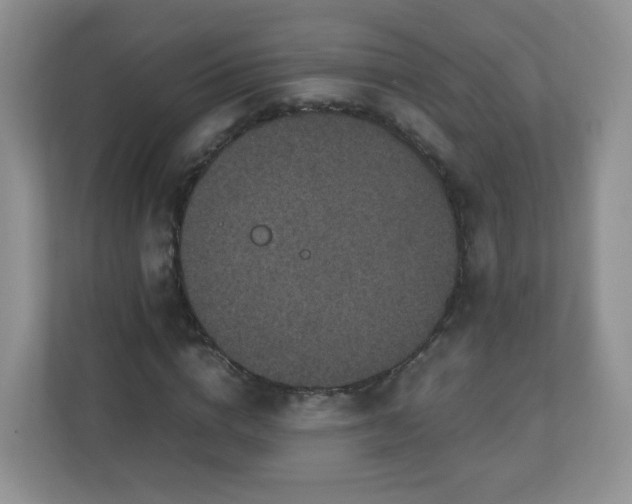 X0000110710824200906191546