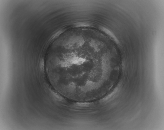X0000110710825200906191546