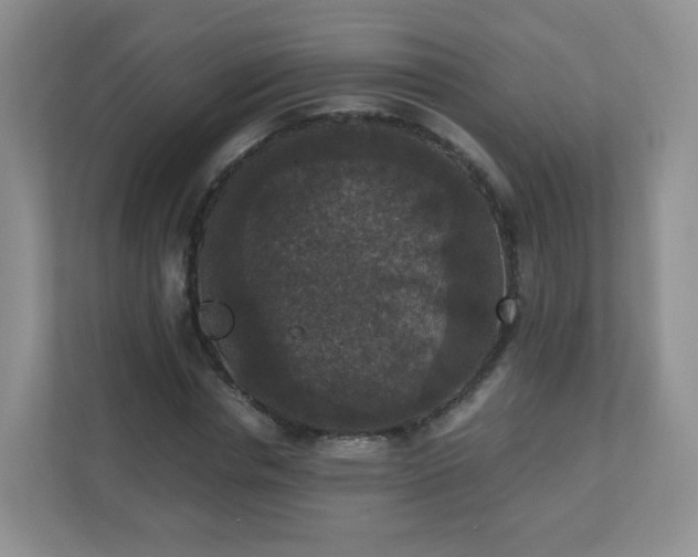 X0000110710826200906191546