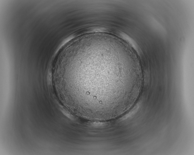 X0000110710827200906191546
