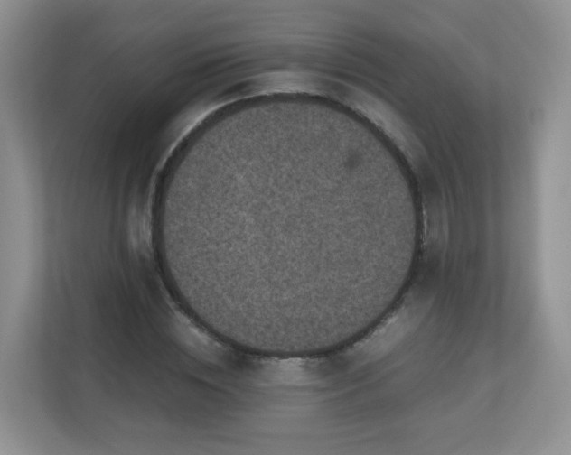 X0000110710828200906191546