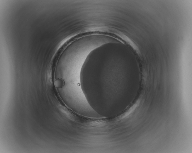 X0000110710830200906191546