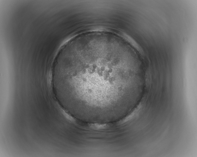X0000110710831200906191546