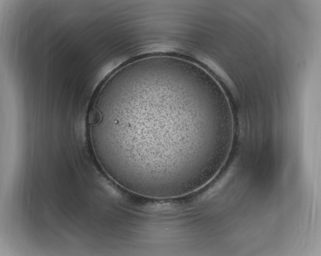 X0000110710834200906191546