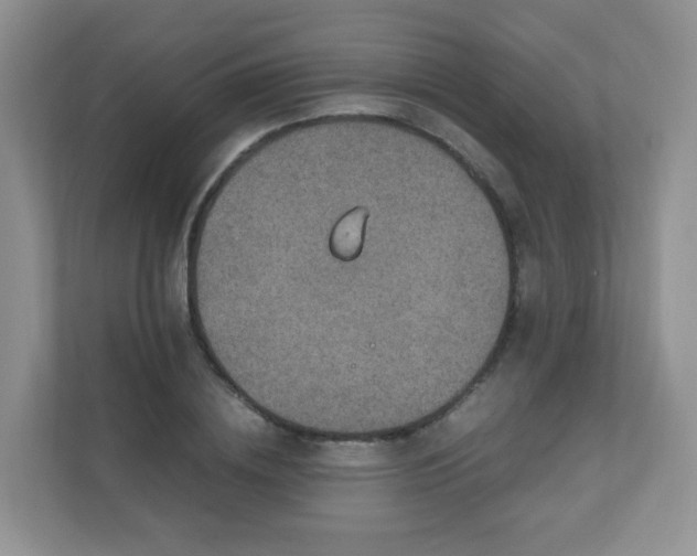 X0000110710836200906191546