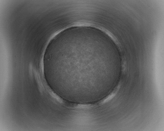X0000110710840200906191546