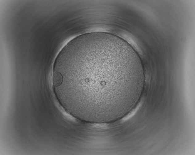 X0000110710844200906191546