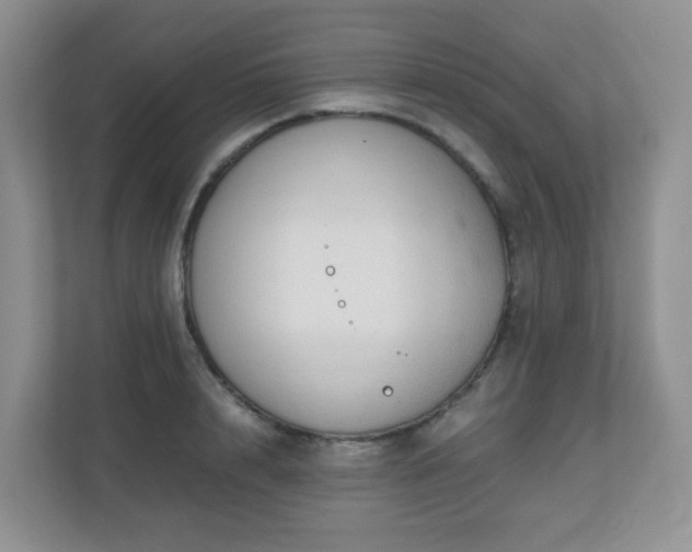 X0000110710848200906191546
