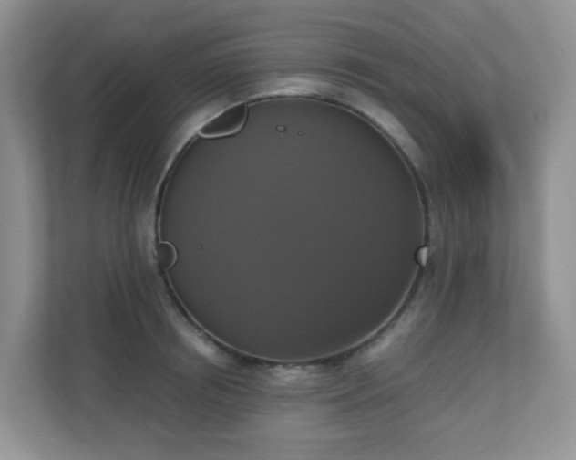 X0000110710850200906191546