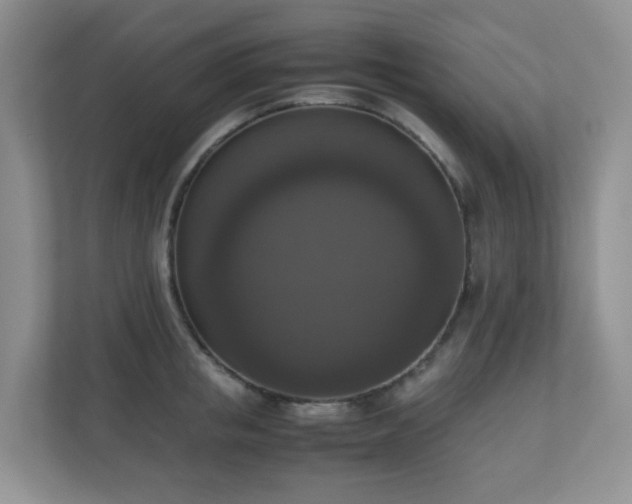 X0000110710853200906191546