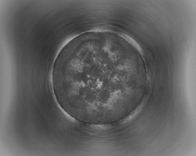 X0000110710855200906191546