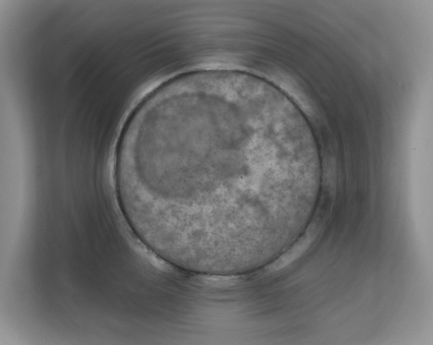 X0000110710856200906191546