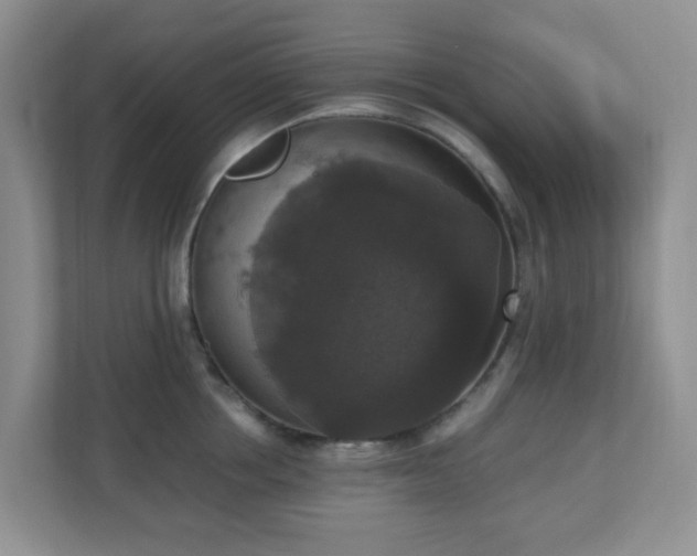 X0000110710858200906191546