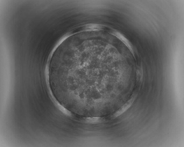 X0000110710859200906191546