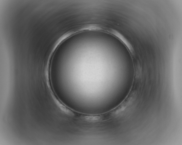 X0000110710861200906191546