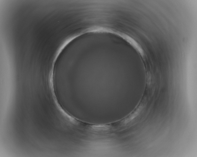 X0000110710863200906191546